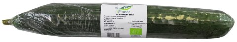 OGÓREK DŁUGI ŚWIEŻY BIO (około 0,25 kg)