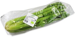 SELER NACIOWY ŚWIEŻY BIO (około 0,30 kg)