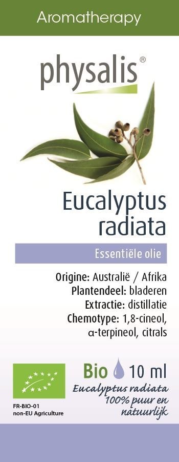 
	  OLEJEK ETERYCZNY EUKALIPTUS 
	  