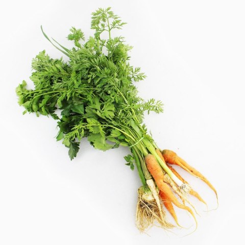 WŁOSZCZYZNA ŚWIEŻA PĘCZEK BIO (POLSKA) (około 0,60 kg)