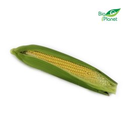 KUKURYDZA ŚWIEŻA BIO (około 0,30 kg)
