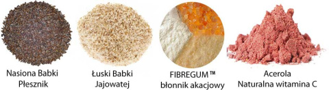 Błonnik Witalny akacjowy Acerola FIBREGUM 0,5 kg Aliness