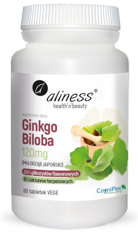GINKO BILOBA miłorząb japoński 120 mg 60 Vege tab