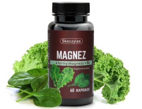 MAGNEZ 4 FORMY WIT B6 JARMUŻ SZPINAK 60 KAPS SKOCZYLAS