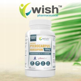 WISH EKSTRAKT PTEROSOL 500MG 90 KAPS