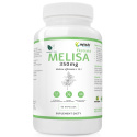WISH MELISA EKSTRAKT 350MG 90 KAPSUŁEK VEGE