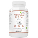 WISH MORWA BIAŁA 550MG 90 KAPSUŁEK