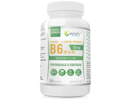 WISH WITAMINA B6 P-5-P 120 KAPSUŁEK