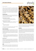 CYNK FORTE 30 TABLETEK - PHYSALIS