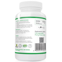 WISH PABA KWAS PARA-AMINOBENZOESOWY 500MG 120 KAPS
