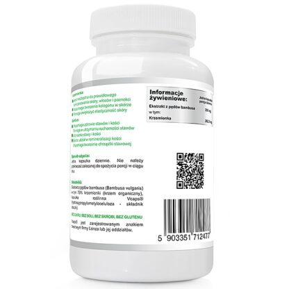 WISH BAMBO EKSTRAKT 350MG 60 KAPSUŁEK