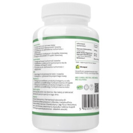 WISH GLUKOZAMINA COMPLEX 120 KAPSUŁEK VEGE