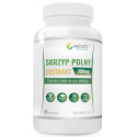 WISH SKRZYP POLNY 300MG - 90 KAPSUŁEK