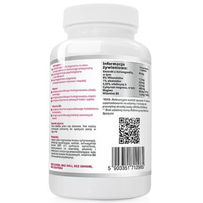 WISH WITAMINA B-50 METHYLO-COMPLEX 90 KAPSUŁEK