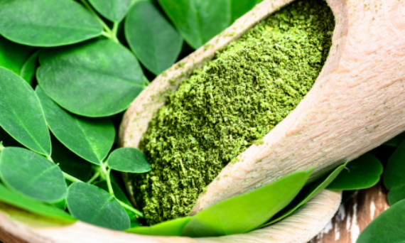 Liść moringa - na co działa?