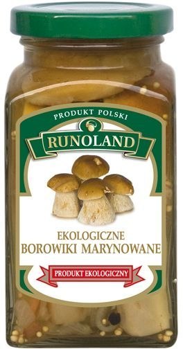 zdrowy borowik